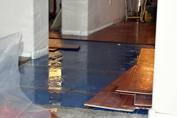 Professional Water Damage Restoration technician working in Winfield, IN